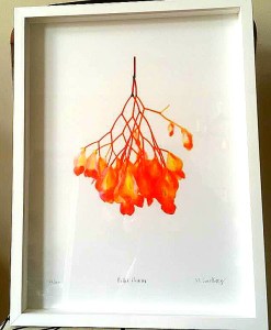 IMG_20190617_133859_625